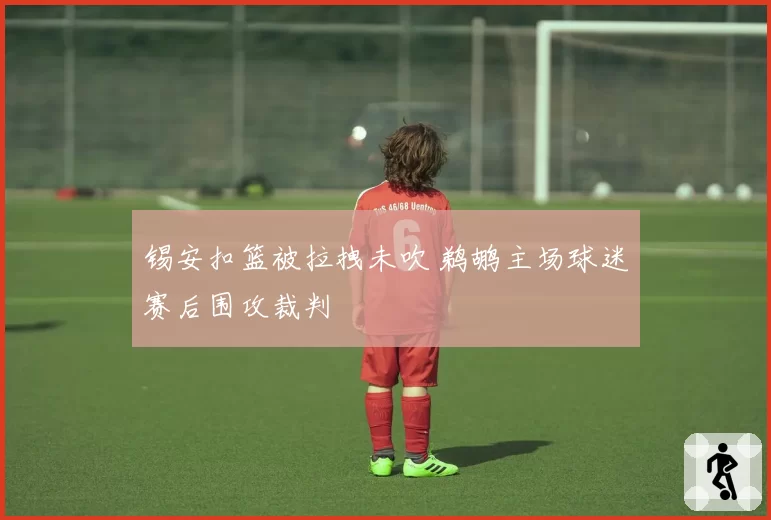 锡安扣篮被拉拽未吹 鹈鹕主场球迷赛后围攻裁判