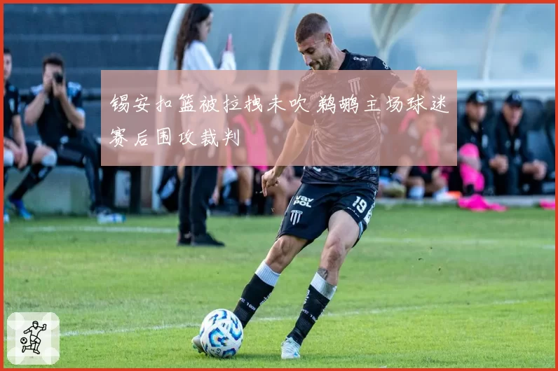 锡安扣篮被拉拽未吹 鹈鹕主场球迷赛后围攻裁判
