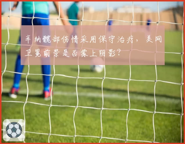 辛纳髋部伤情采用保守治疗,美网卫冕前景是否蒙上阴影?